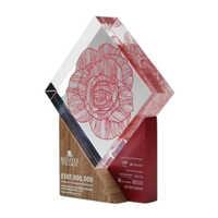 CP 226 Crystal Pillars And Blocks Trophy