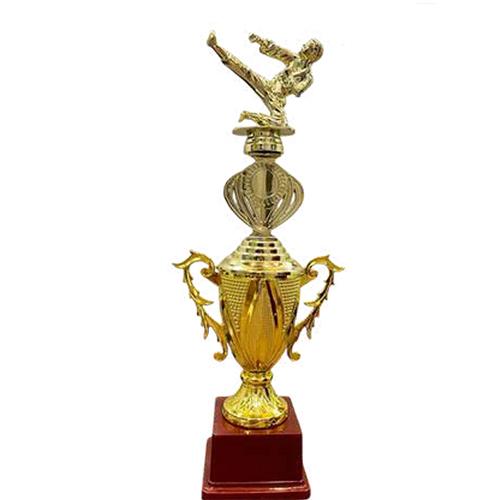 RI 1616 Fiber Trophy Cup